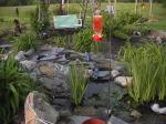 WaterGarden.jpg