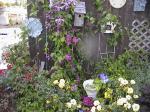 ClematisRosesAndSuch2.jpg